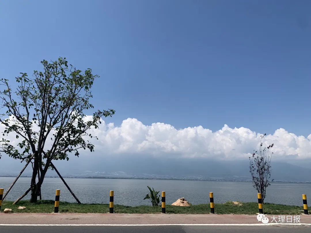 大理日报