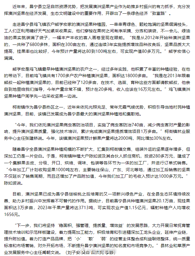 保山昌宁20万亩坚果有望实现产值1.15亿元