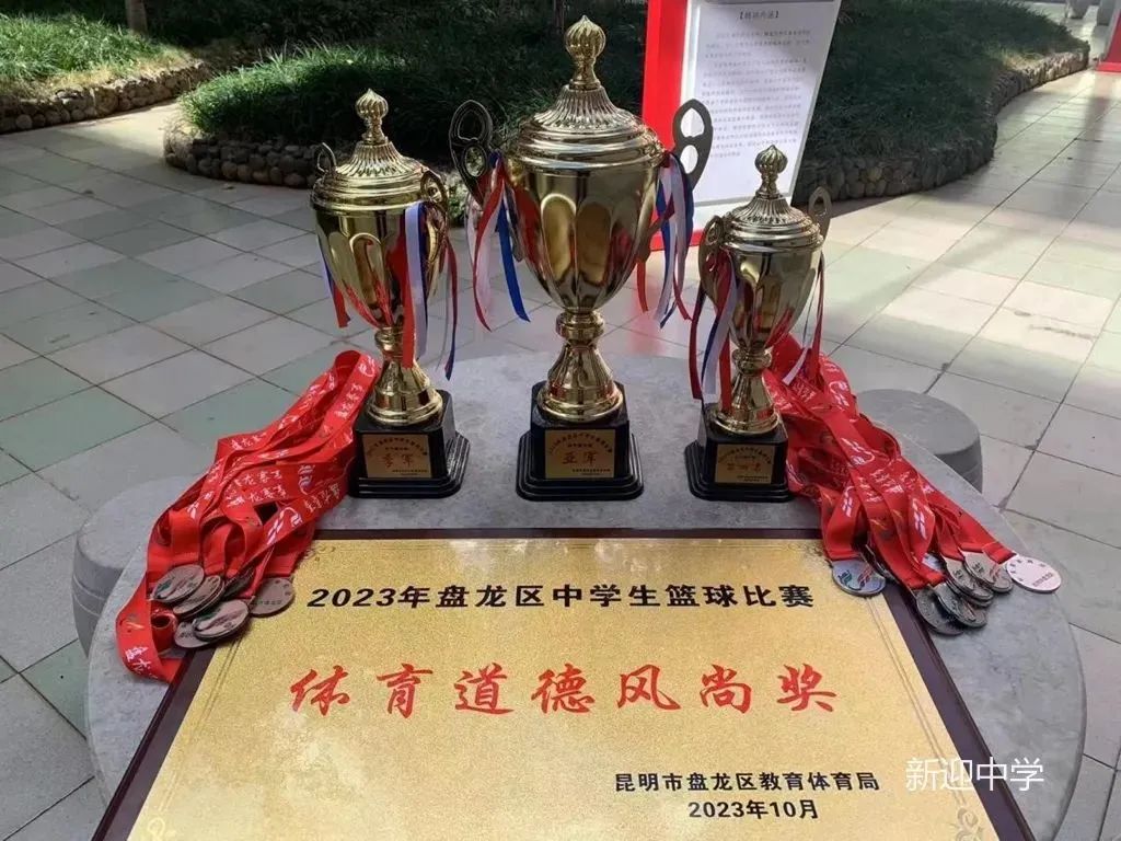 盘龙教育
