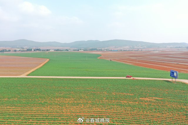 奋进新征程 推动新跨越丨宣威：攥紧农业“芯片” 培育种业“龙头”