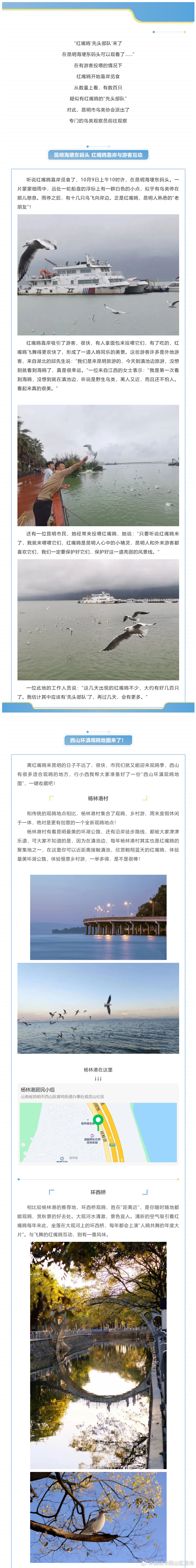 昆明市西山区发布