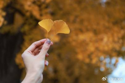 入秋要喝一粥一汤一羹 