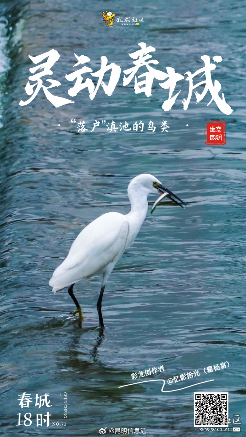 昆明信息港微博