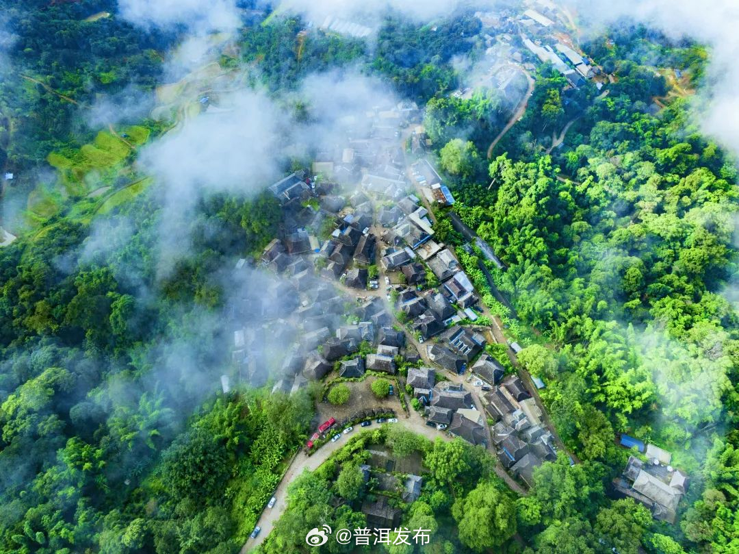 普洱发布