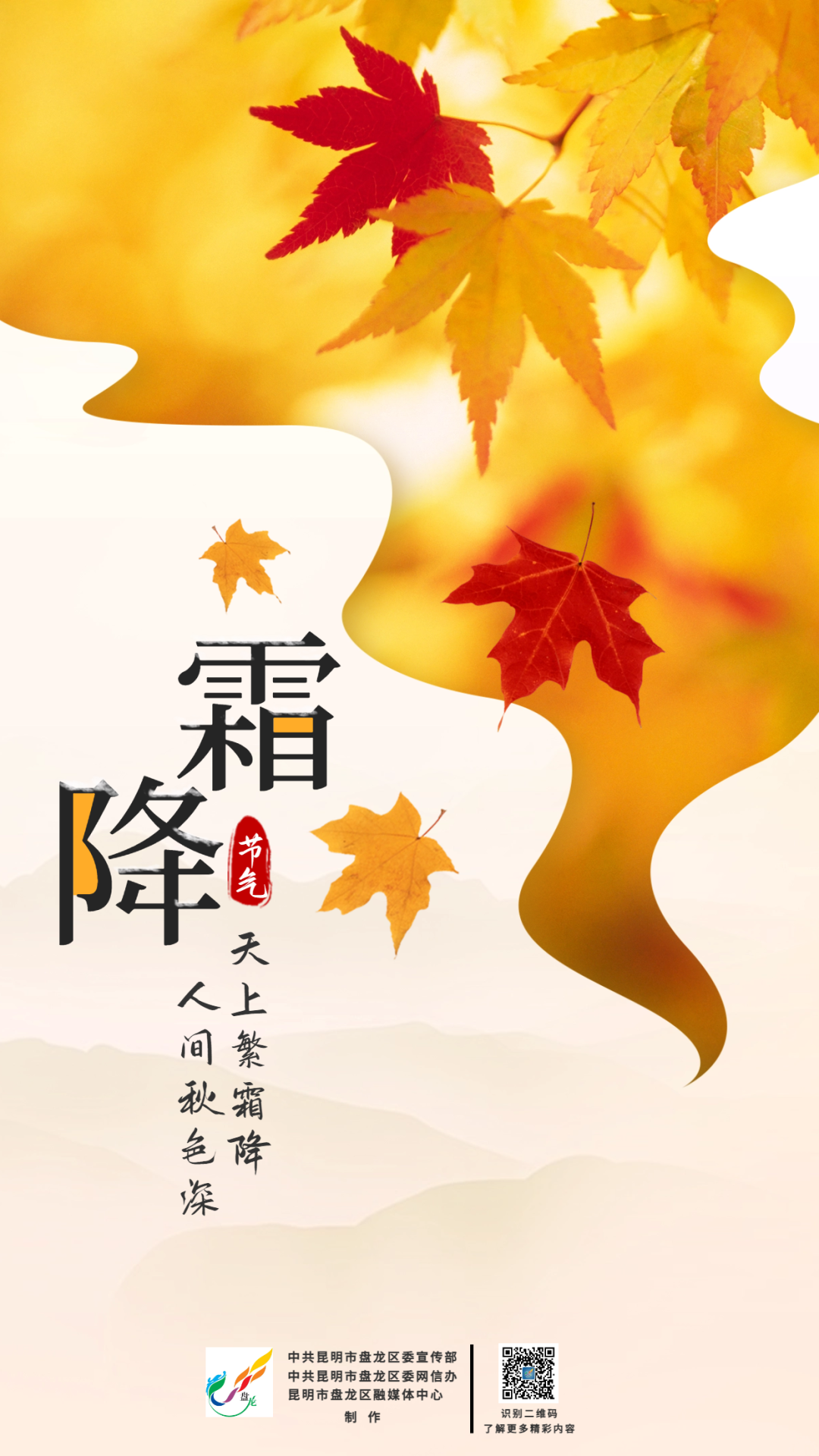 微观盘龙