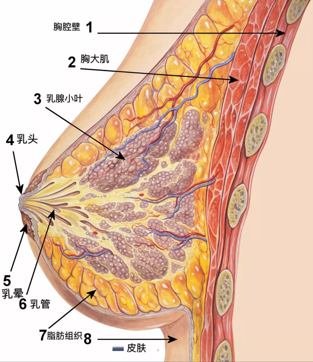 美丽云南微科普