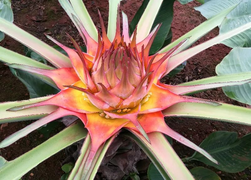 云南省人民政府网