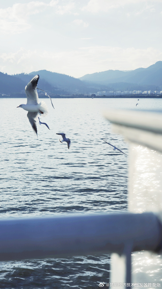 昆明经济技术开发区管委会