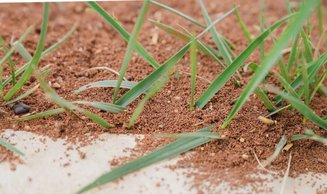 晋宁诗意的栖居地