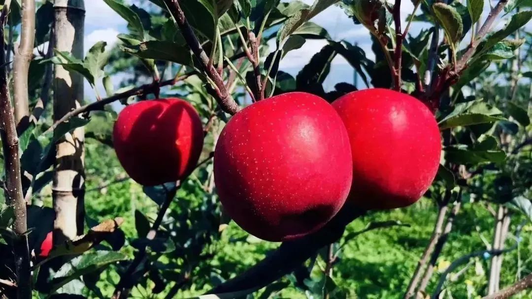 昆明文旅