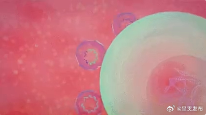 炎症和感染是一回事吗？