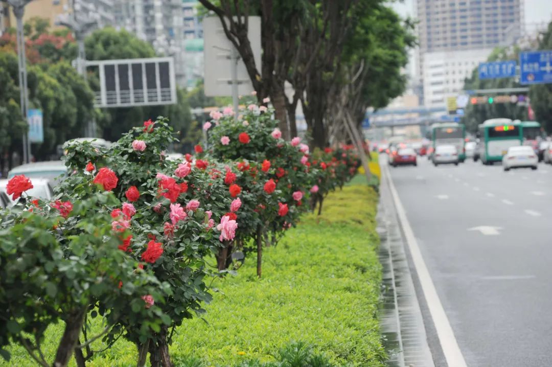 昆明文旅