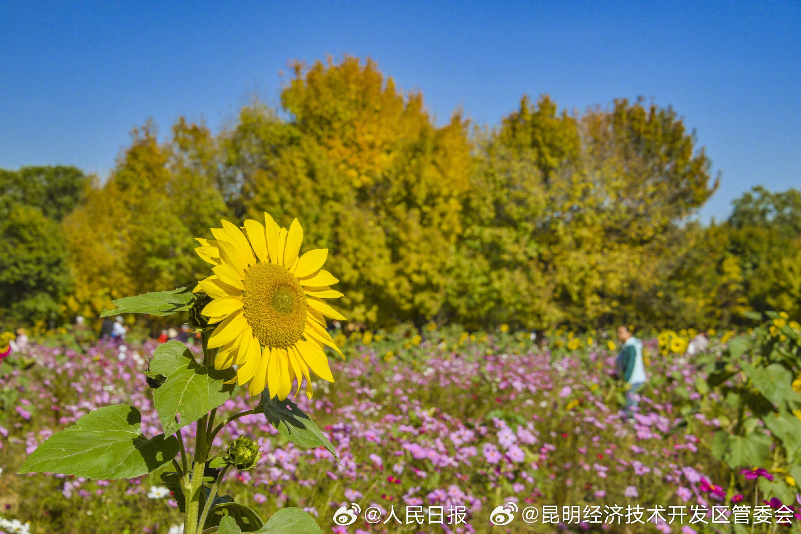 昆明经济技术开发区管委会