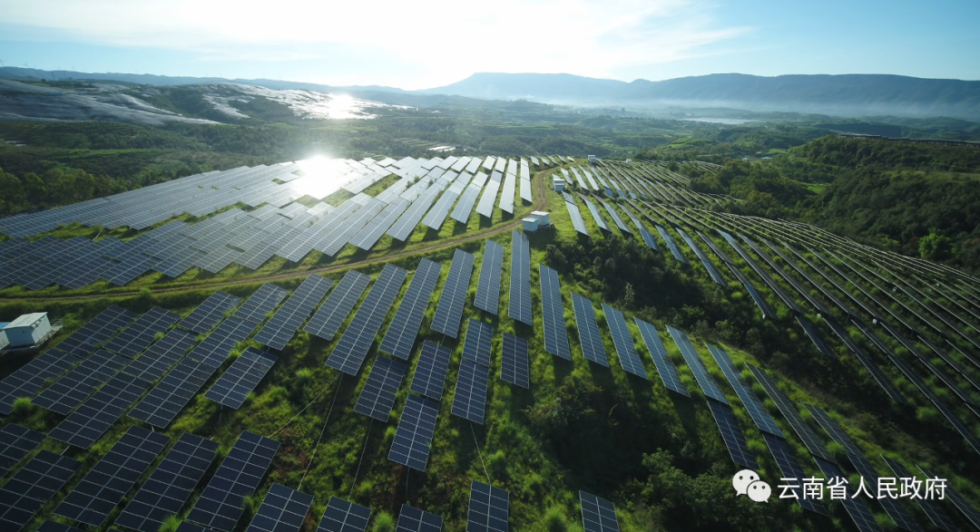 云南省人民政府网