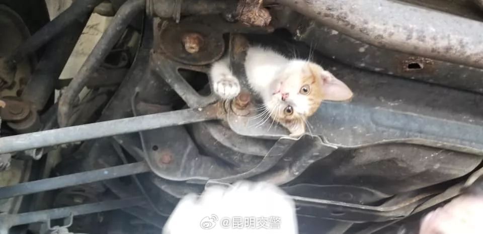 昆明交警