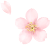 美丽云南微科普
