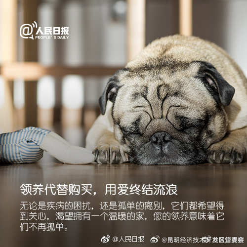 昆明经济技术开发区管委会