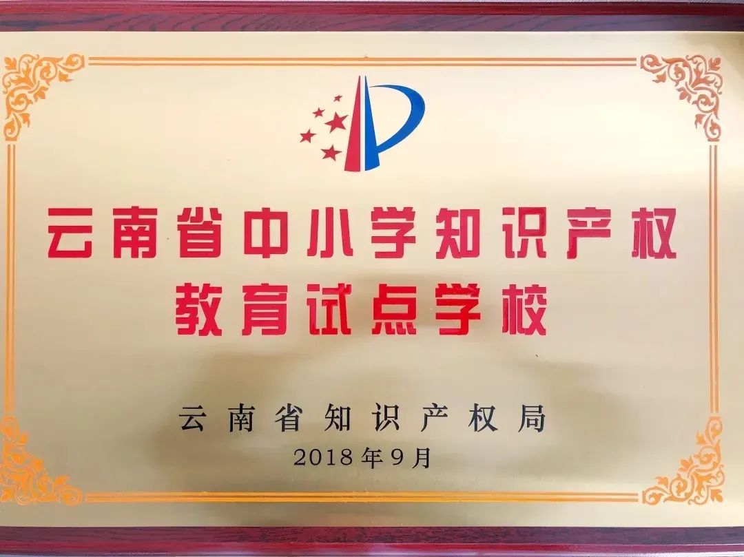 盘龙教育