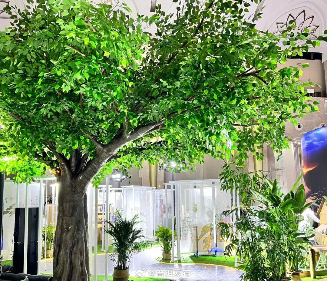 期待值拉满！普洱将精彩亮相创意云南文化产业博览会