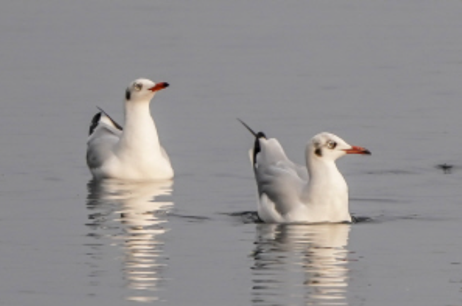 云南广播电视台微信