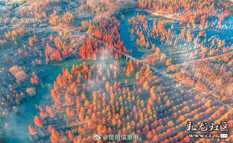 昆明信息港微博