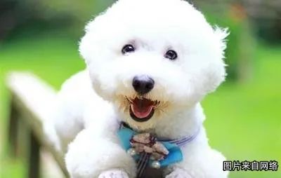 晋宁诗意的栖居地