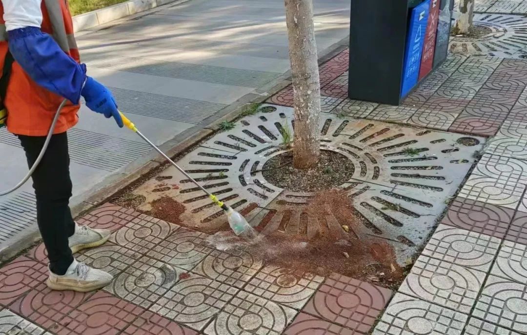 晋宁诗意的栖居地