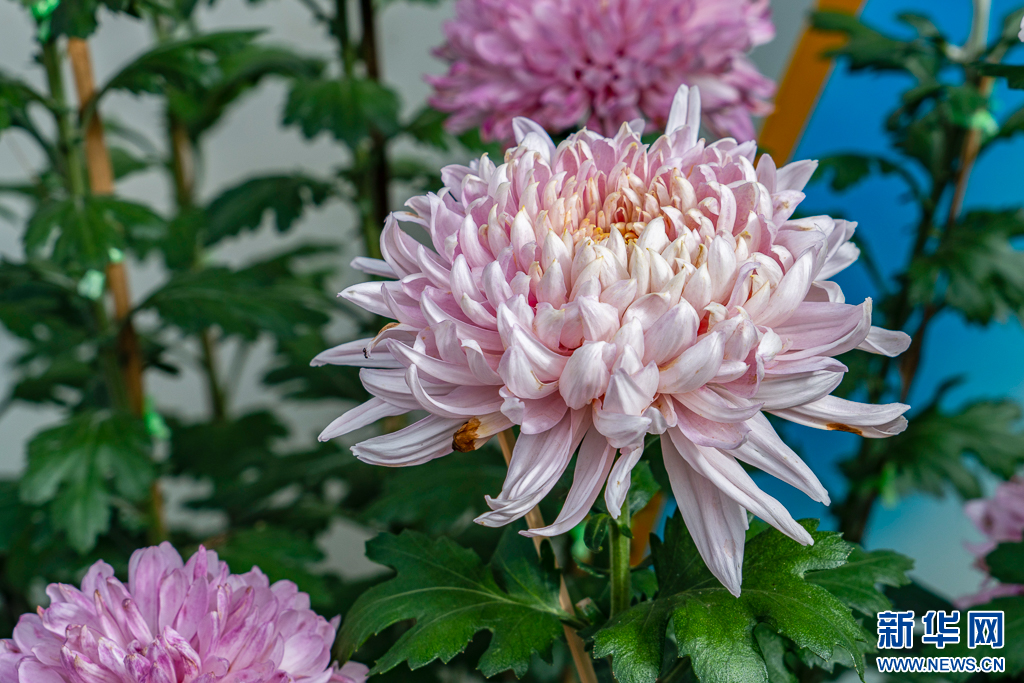 滇池旅游度假区