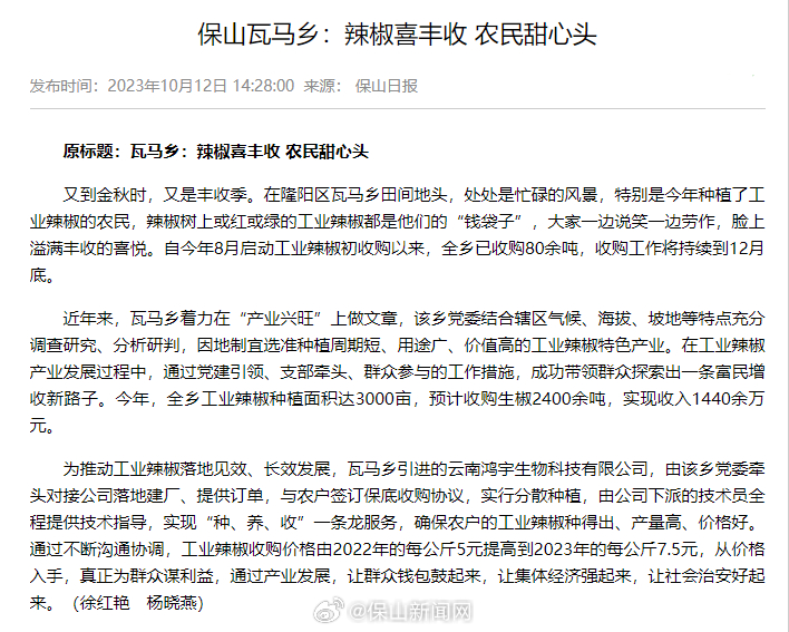 保山瓦马乡：辣椒喜丰收 农民甜心头