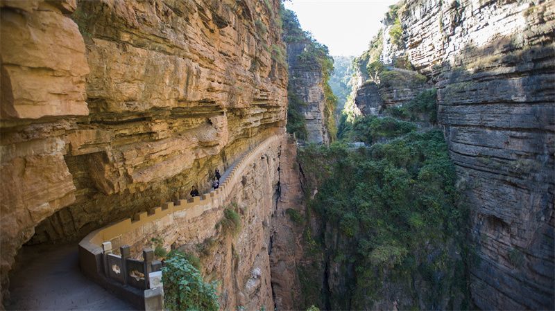 云南省文化和旅游厅