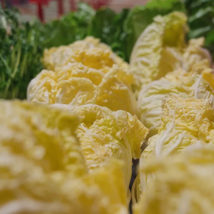 晋宁诗意的栖居地