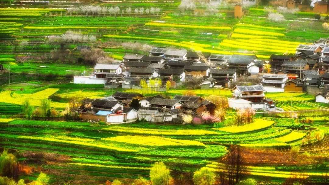 大理日报