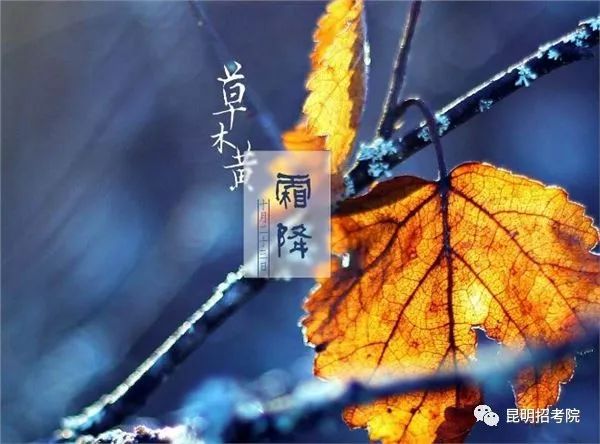 昆明招考院
