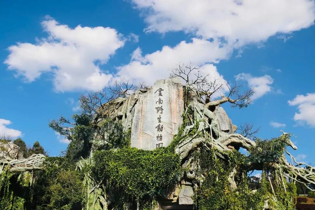 云南野生动物园