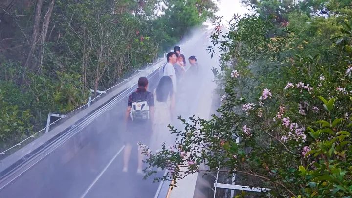 掌上春城微信