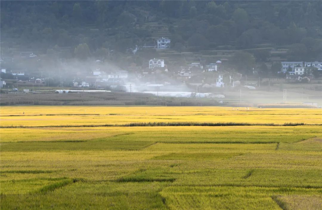 丽江日报
