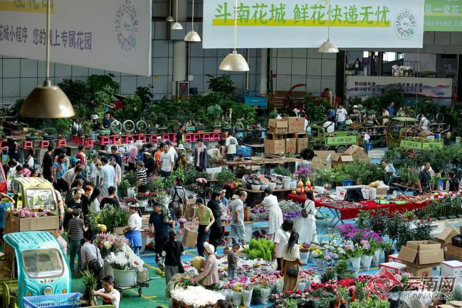 丽江日报