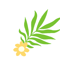 盘龙教育