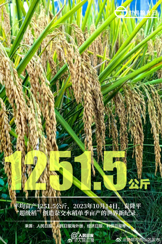 昆明市西山区发布