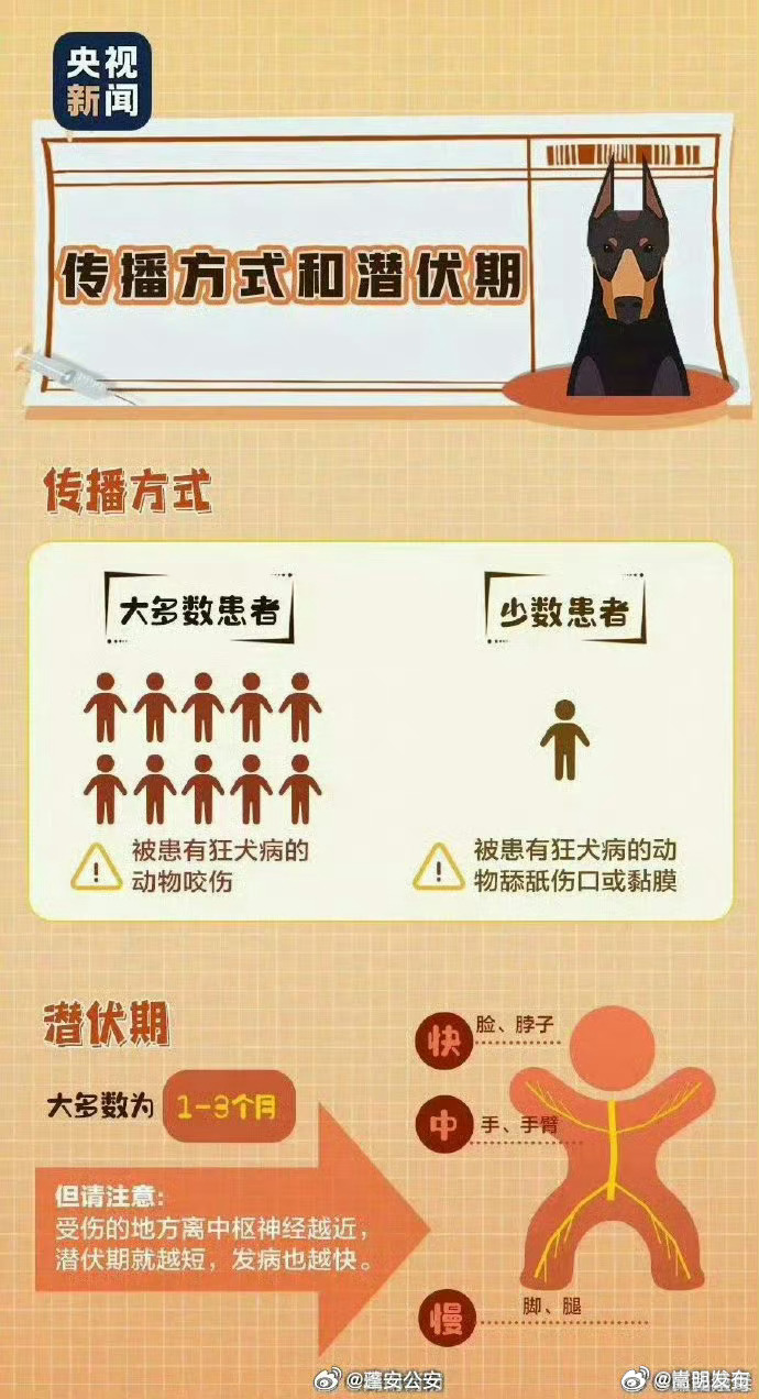 嵩明发布