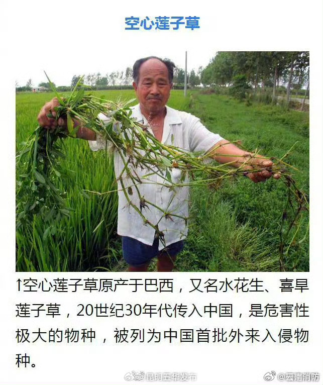 昆明五华发布