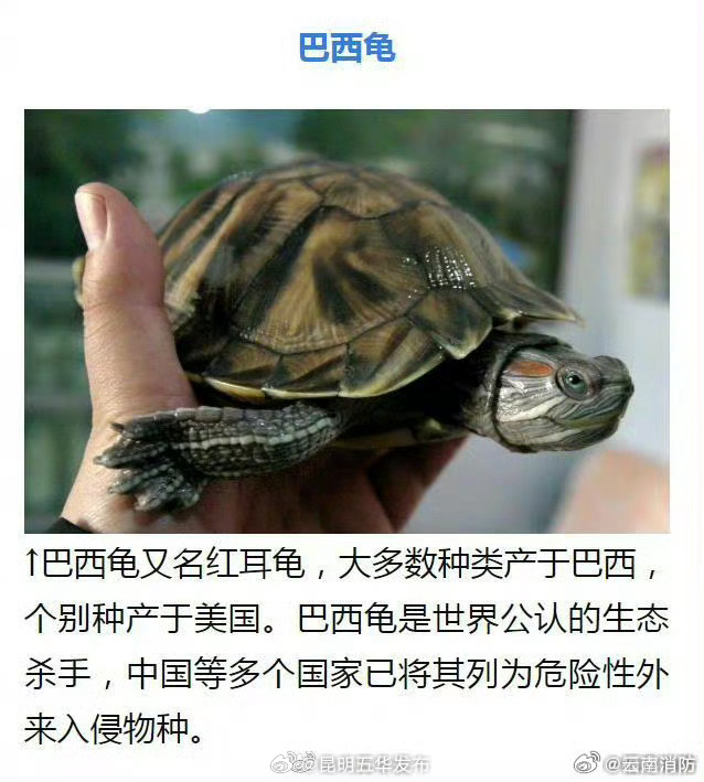 昆明五华发布