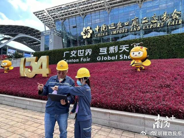 广交会减少的碳排放量相当于多种下80万棵树