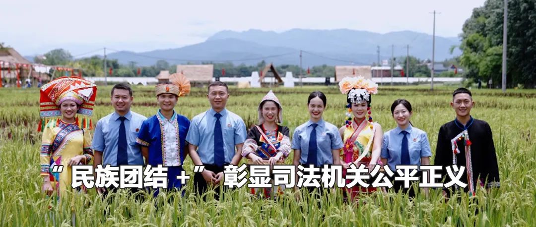 云南政法