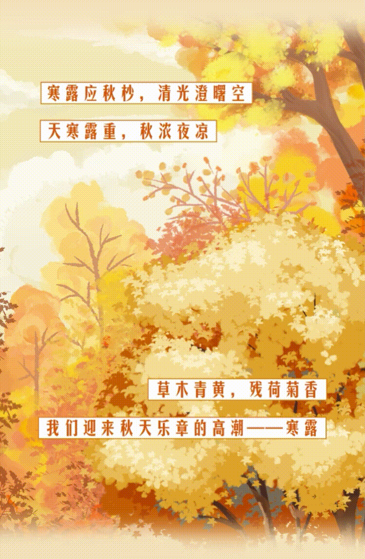 云南省人民政府网