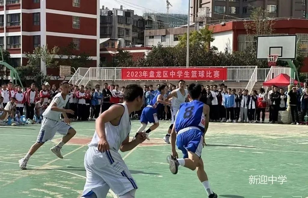 盘龙教育