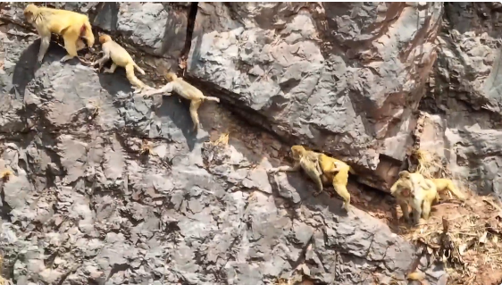 昆明信息港/cnkmxxg