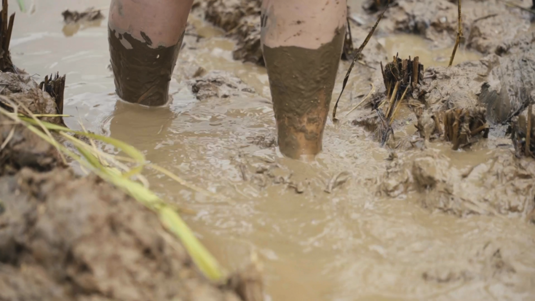 晋宁诗意的栖居地
