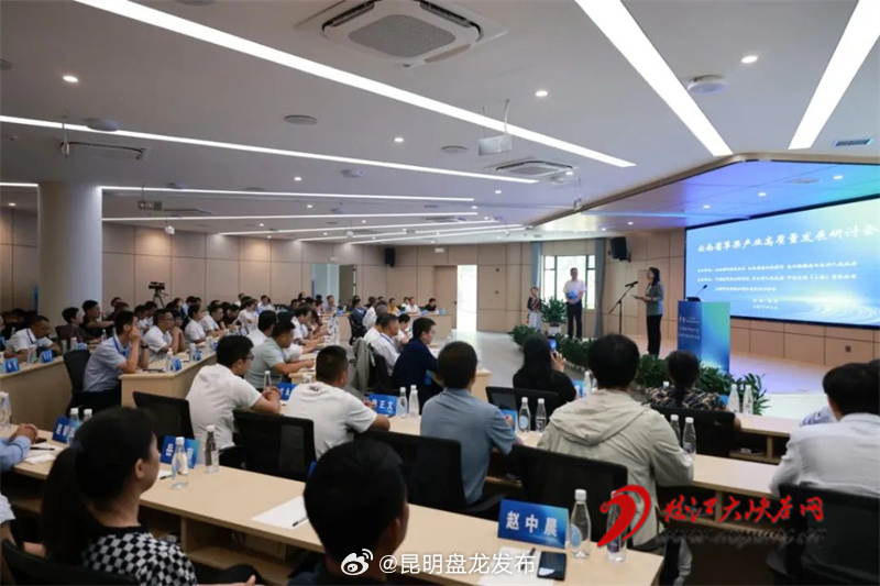昆明盘龙发布
