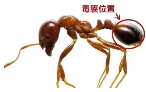 昆明信息港/cnkmxxg